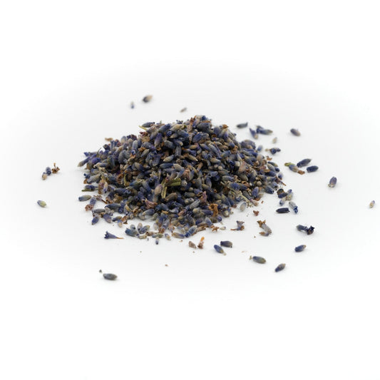 Lavande culinaire bio