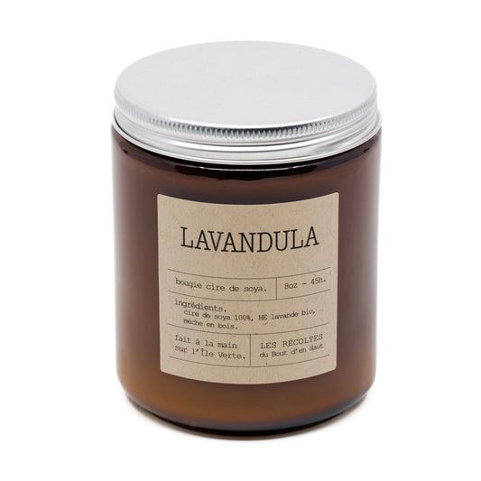 Chandelle Lavandula