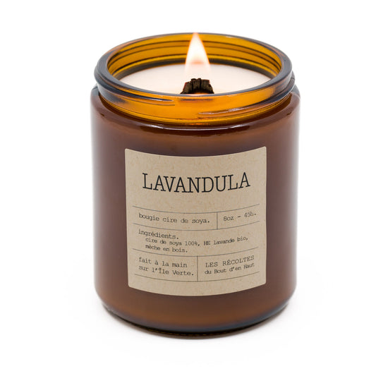 Chandelle Lavandula