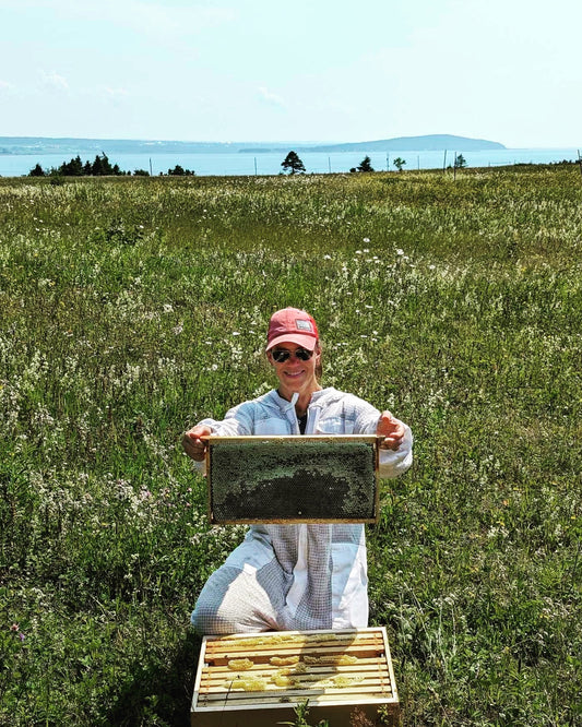 Formation Apiculture Débutant (Dépôt)